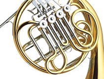 horn