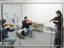 violin